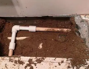 湖州市测漏水哪家好