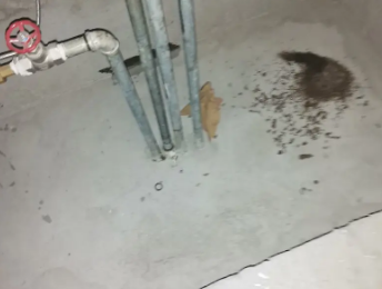 湖州市卫生间测漏水价格明细