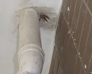 湖州市漏水检测哪家好